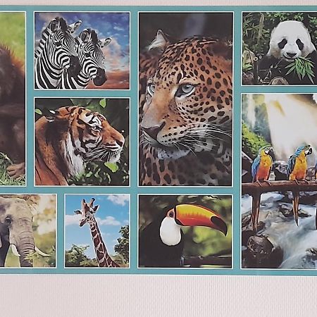 Animalier Apartman Joigny Kültér fotó