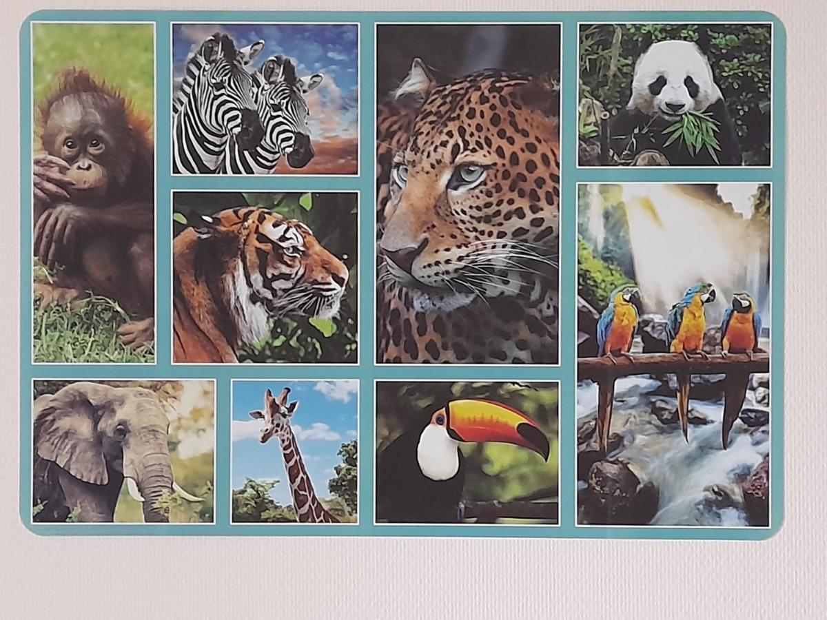 Animalier Apartman Joigny Kültér fotó
